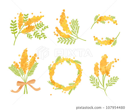 Mimosa of various shapes 107954480