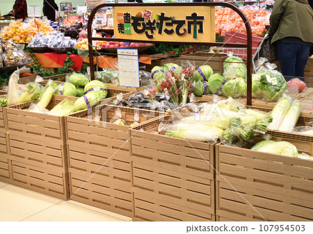 超市展示架上整齊排列著蘿蔔、高麗菜、辣椒、茄子等蔬菜 107954503