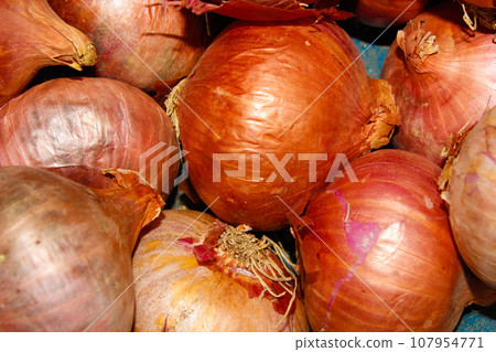 A picture of onions with selective focus 107954771