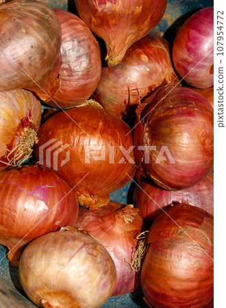A picture of onions with selective focus A picture of onions with selective focus 107954772