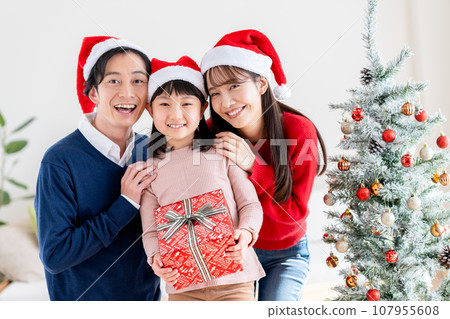 Christmas gift  107955608