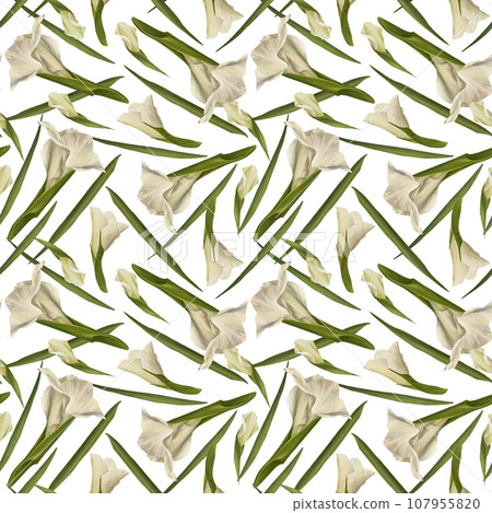 Watercolor gladioluses plant seamless pattern, hand drawn digital floral illustration of white flowers buds and leaves Isolated on white background Repeating design for print wallpaper, wrapping paper 107955820