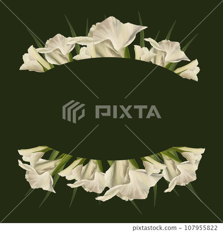 Watercolor gladioluses. Floral oval banner, frame with white flowers, buds and leaves Hand painted isolated illustration on dark background Botanical design for wedding, invitations and greeting cards 107955822