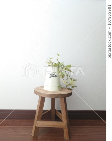 houseplant placed on a chair houseplant placed on a chair 107955981