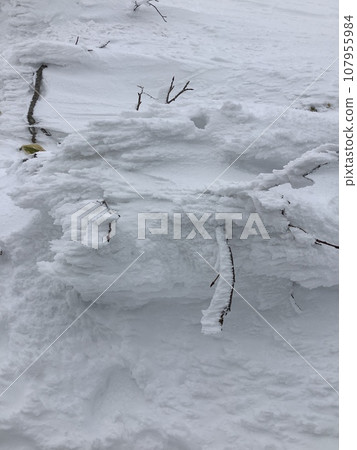 Miyagi Zao的冰晶 107955984