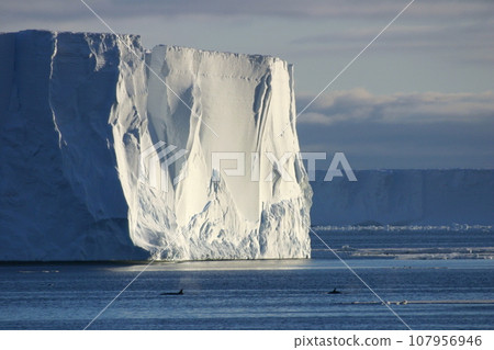 Giant iceberg and two killer whales floating in Antarctica's Ross Sea 107956946