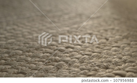 closeup shot of jute rug 107956988