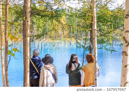 Biei Town/Blue Pond [Hokkaido] 107957097