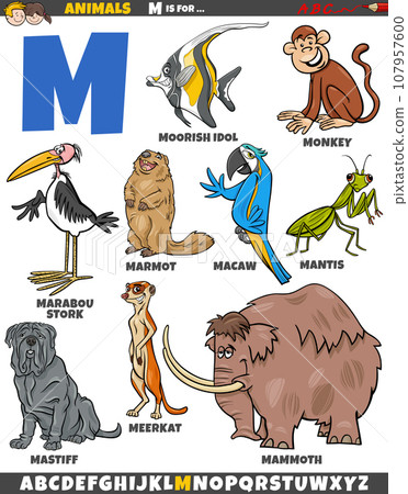 cartoon animal characters for letter M educational set 107957600