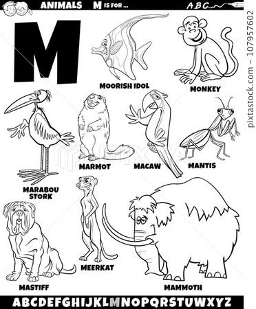 cartoon animal characters for letter M set coloring page cartoon animal characters for letter M set coloring page 107957602