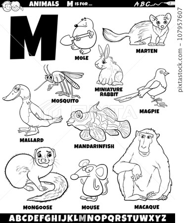 cartoon animal characters for letter M set coloring page cartoon animal characters for letter M set coloring page 107957607