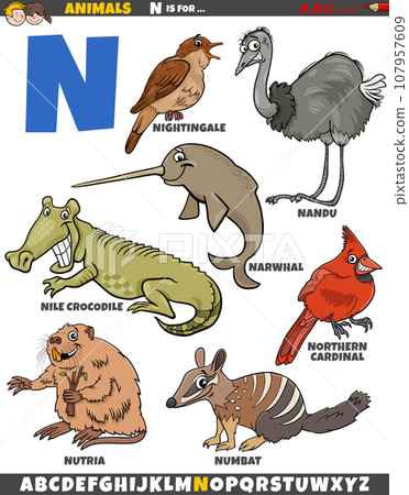 cartoon animal characters for letter N educational set 107957609