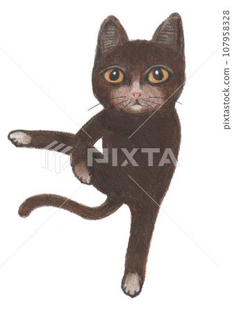 貓決定瑜珈姿勢 貓決定瑜珈姿勢 107958328