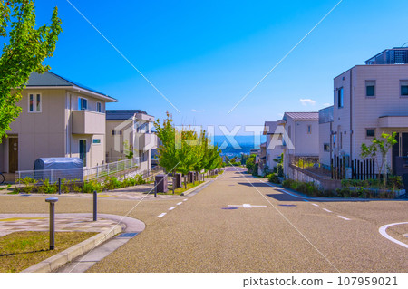 沒有電線桿的安靜小鎮 沒有電線桿的安靜小鎮 107959021