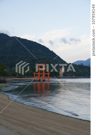 Otorii of Itsukushima Shrine (at dawn) 107959149