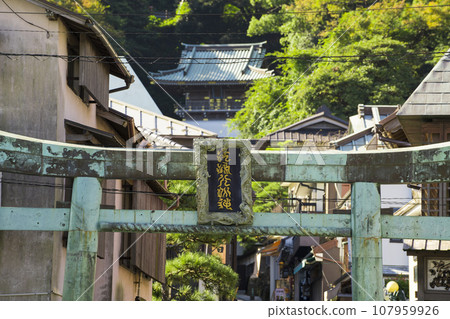 Torii and Zuishinmon of Eshima Shrine 107959926