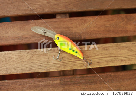 plug lure with a large paddle 107959938