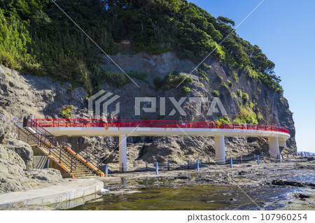 湘南江之島岩橋 107960254