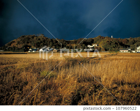 Satoyama village and rural landscape harvest 107960522