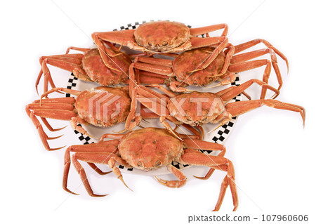 Boiled Seiko crab (Seiko crab/Kobako crab) Boiled Seiko crab (Seiko crab/Kobako crab) 107960606