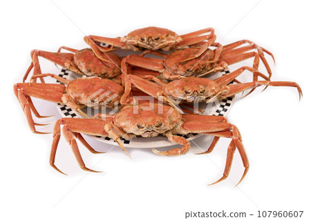 煮精工蟹（精工蟹/小箱蟹） 107960607