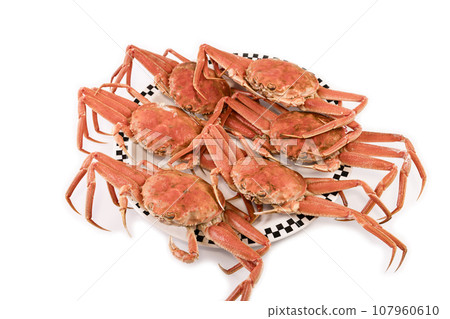 Boiled Seiko crab (Seiko crab/Kobako crab) Boiled Seiko crab (Seiko crab/Kobako crab) 107960610