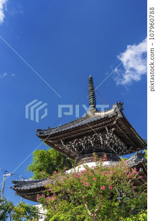 Anataji Temple, Tahoto Pagoda and Crape Myrtle Flower (Kameoka City, Kyoto Prefecture) Anataji Temple, Tahoto Pagoda and Crape Myrtle Flower (Kameoka City, Kyoto Prefecture) 107960788