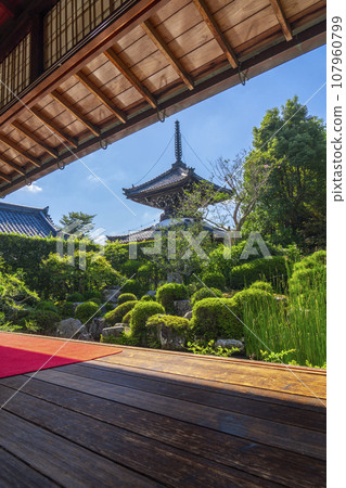 Tahoto pagoda seen from the Ennoin garden at Anataji Temple (Kameoka City, Kyoto Prefecture) Tahoto pagoda seen from the Ennoin garden at Anataji Temple (Kameoka City, Kyoto Prefecture) 107960799