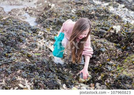 Little girl rock pooling and collecting sea shells at Hope Gap Beach between Seaford and Eastbourne, East Sussex. Beach and sea in foggy morning 107960823