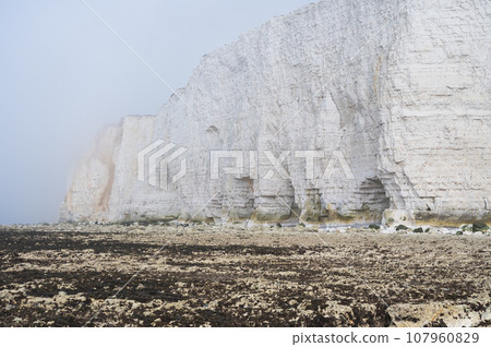 Misty morning in Hope Gap beach, Cuckmere Haven, located between Seaford and Eastbourne. Pebbly coastline with seaweed and the white cliffs on the background, selective focus Misty morning in Hope Gap beach, Cuckmere Haven, located between Seaford and Eastbourne. Pebbly coastline with seaweed and the white cliffs on the background, selective focus 107960829