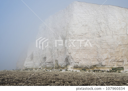 Misty morning in Hope Gap beach, Cuckmere Haven, located between Seaford and Eastbourne. Pebbly coastline with seaweed and the white cliffs on the background, selective focus Misty morning in Hope Gap beach, Cuckmere Haven, located between Seaford and Eastbourne. Pebbly coastline with seaweed and the white cliffs on the background, selective focus 107960834