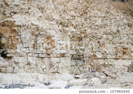 White cliffs background at Cuckmere Haven beach in Hope Gap. Located between Eastbourne and Seaford in East Sussex, UK White cliffs background at Cuckmere Haven beach in Hope Gap. Located between Eastbourne and Seaford in East Sussex, UK 107960840