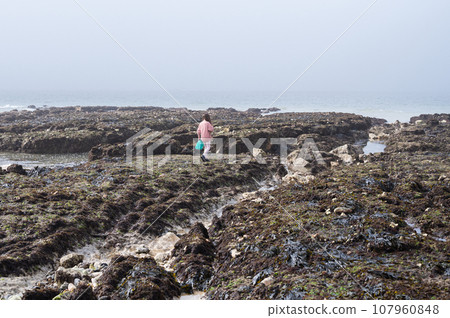 Little girl rock pooling at Hope Gap Beach between Seaford and Eastbourne, East Sussex. Beach and sea in foggy morning Little girl rock pooling at Hope Gap Beach between Seaford and Eastbourne, East Sussex. Beach and sea in foggy morning 107960848