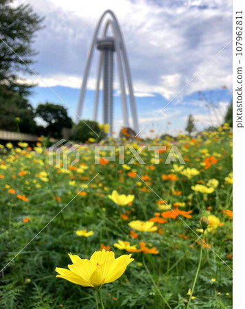 色彩鮮豔的 Kibana 宇宙和塔 色彩鮮豔的 Kibana 宇宙和塔 107962811