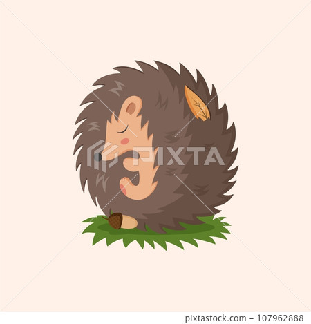 Sleeping hedgehog. Cute forest animal. Wildlife adorable character. Childish card, print or nursery decor. Wild autumn nature. Vector cartoon flat style isolated funny prickly mammal illustration 107962888