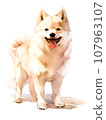 clever dog clever dog 107963107