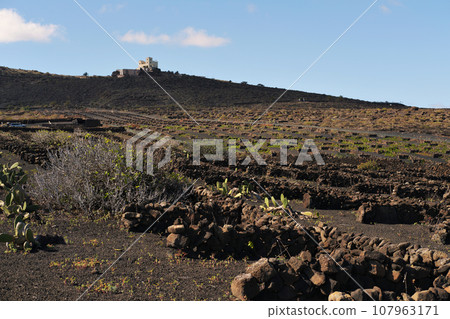 Dry, volcanic terrain of Lanzarote Island during sunny day 107963171