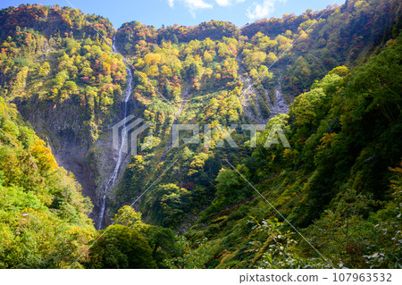 Autumn leaves and Hannoki Falls Autumn leaves and Hannoki Falls 107963532