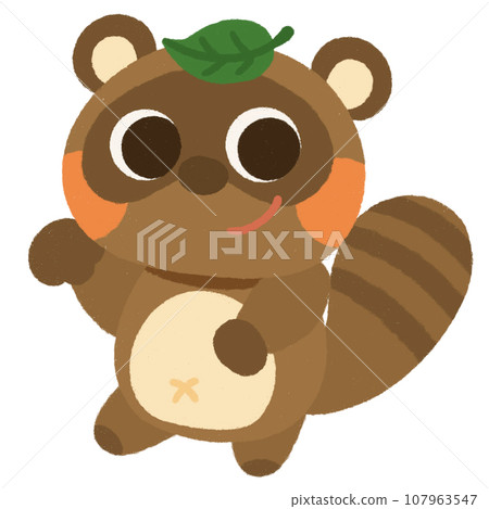 頭上頂著一片葉子的浣熊 107963547