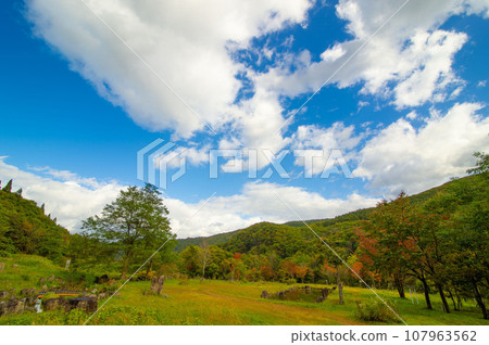 公園和紅葉沼 107963562