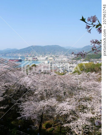 從聖福寺山公園看到的秋津町(東廣島市) 從聖福寺山公園看到的秋津町(東廣島市) 107963748