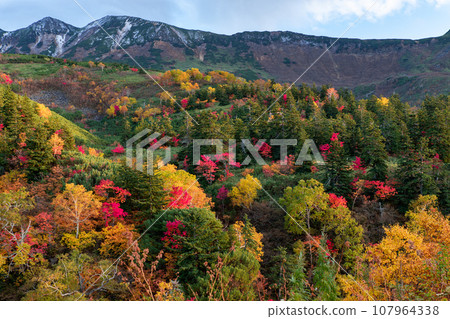 北海道十勝嶽山脈的紅葉(夜景) 北海道十勝嶽山脈的紅葉(夜景) 107964338