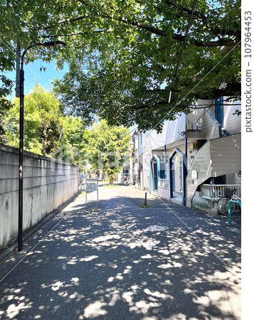 夏天的路徑 夏天的路徑 107964453