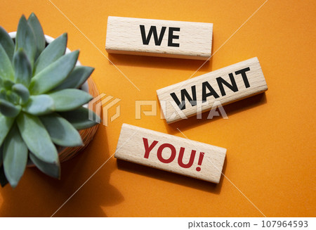 We want You symbol. Wooden blocks with words We want you. Beautiful orange background with succulent plant. Business and We want You concept. Copy space 107964593