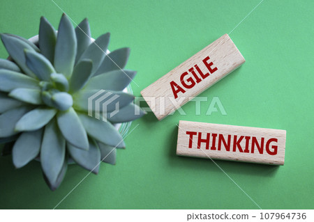 Agile Thinking symbol. Wooden blocks with words Agile Thinking. Beautiful green background with succulent plant. Business and Agile Thinking concept. Copy space. Agile Thinking symbol. Wooden blocks with words Agile Thinking. Beautiful green background with succulent plant. Business and Agile Thinking concept. Copy space. 107964736
