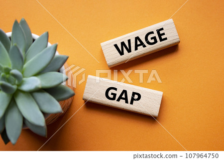 Wage Gap symbol. Concept words Wage Gap on wooden blocks. Beautiful orange background with succulent plant. Business and Wage Gap concept. Copy space. Wage Gap symbol. Concept words Wage Gap on wooden blocks. Beautiful orange background with succulent plant. Business and Wage Gap concept. Copy space. 107964750