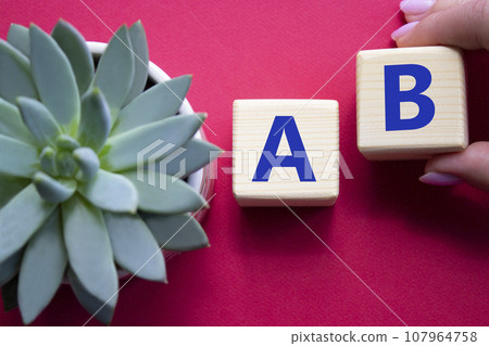 Plan A and Plan B. Businessman hand is making a choice between Plan A and Plan B symbol. Beautiful red background with succulent plant. Business concept. Copy space. 107964758