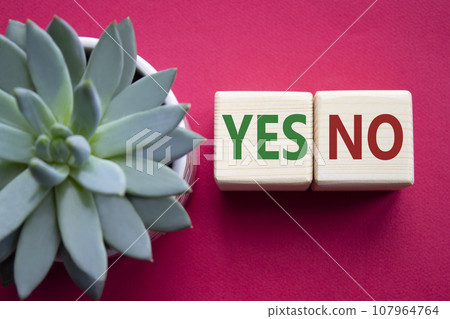 Yes vs No symbol. YES and No on wooden cubes. Beautiful red background with succulent plant. Business concept. Copy space. 107964764