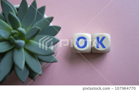 Ok symbol. Concept word Ok on wooden cubes. Beautiful pink background with succulent plant. Business and Ok concept. Copy space. Ok symbol. Concept word Ok on wooden cubes. Beautiful pink background with succulent plant. Business and Ok concept. Copy space. 107964770