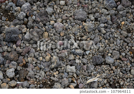 火山浮石 107964811